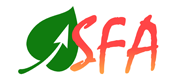 SFA